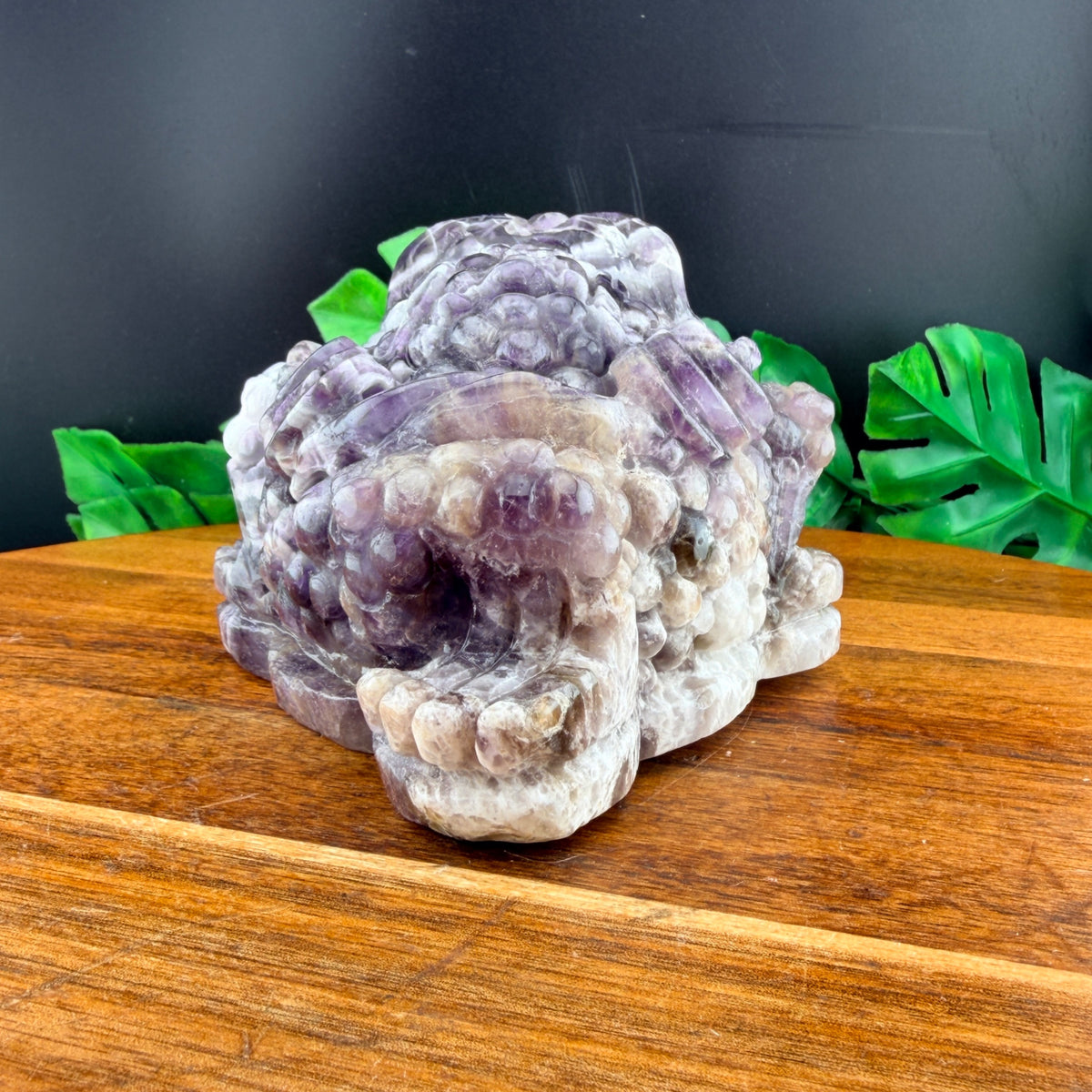 Dream Amethyst Money Toad