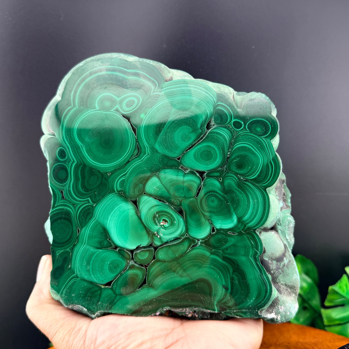 Malachite Freeform with Stand