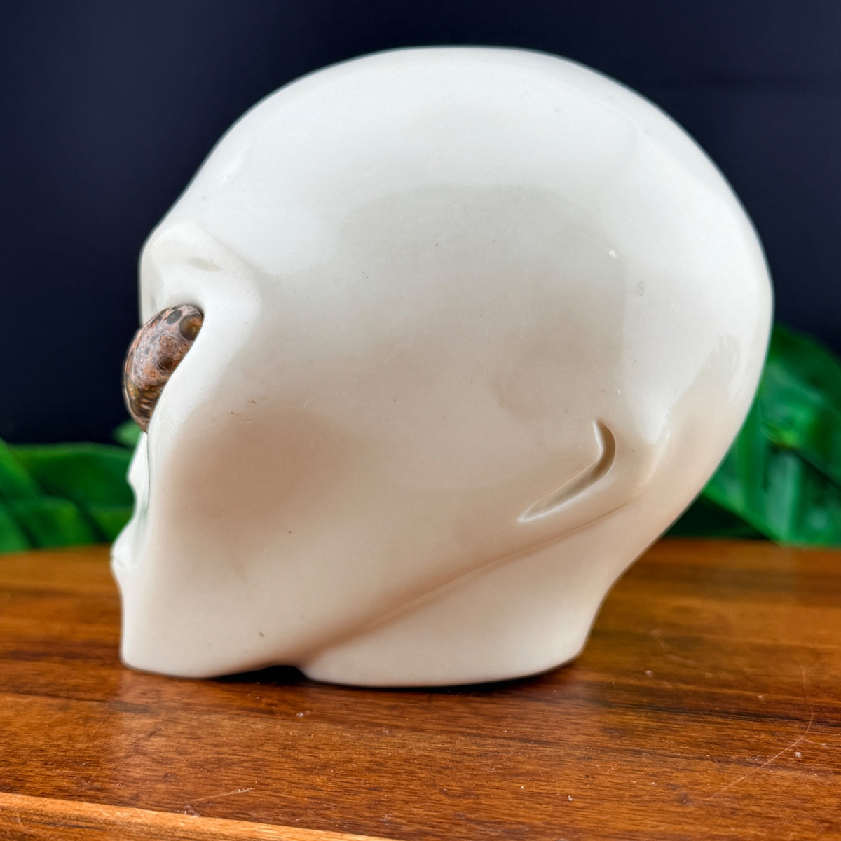 White Jade and Leopard Skin Jasper Alien