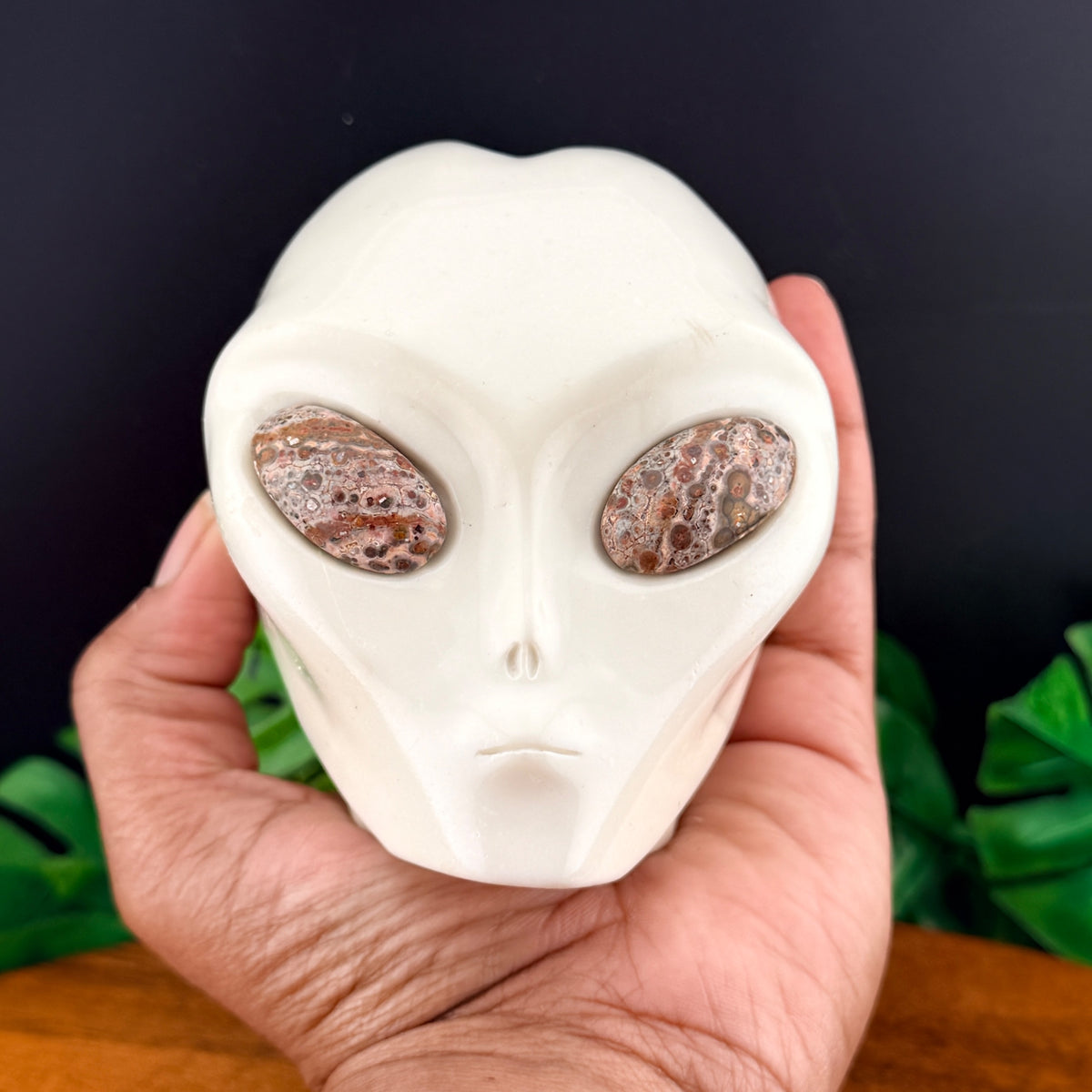 White Jade and Leopard Skin Jasper Alien