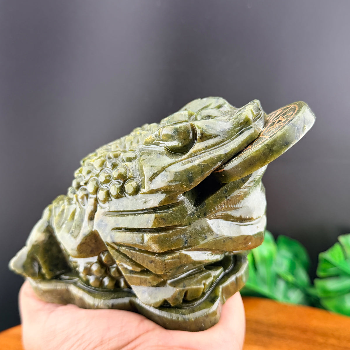 Green Jade Chinese Money Toad