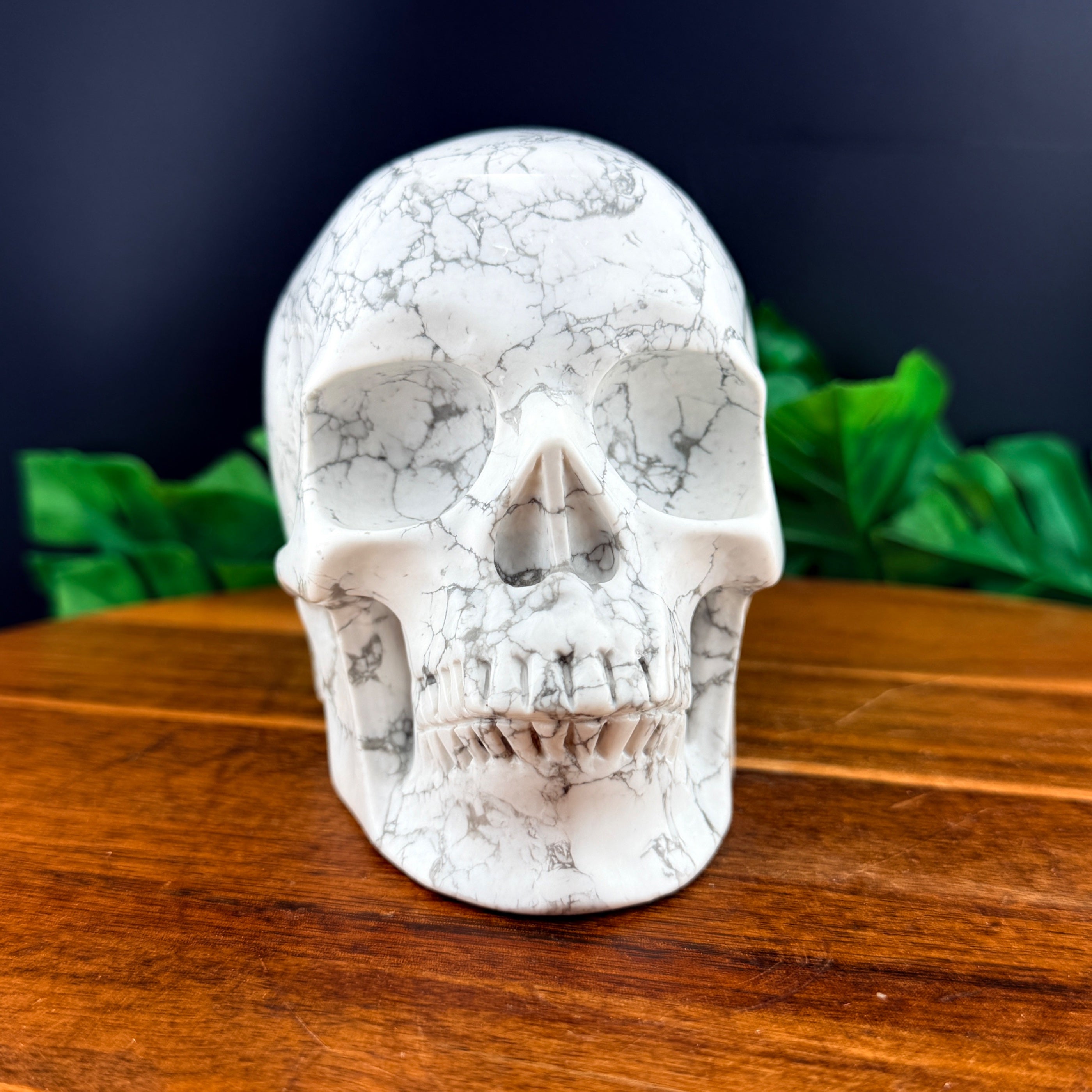 Howlite Skull – Sage & Magic