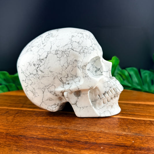 Howlite Skull