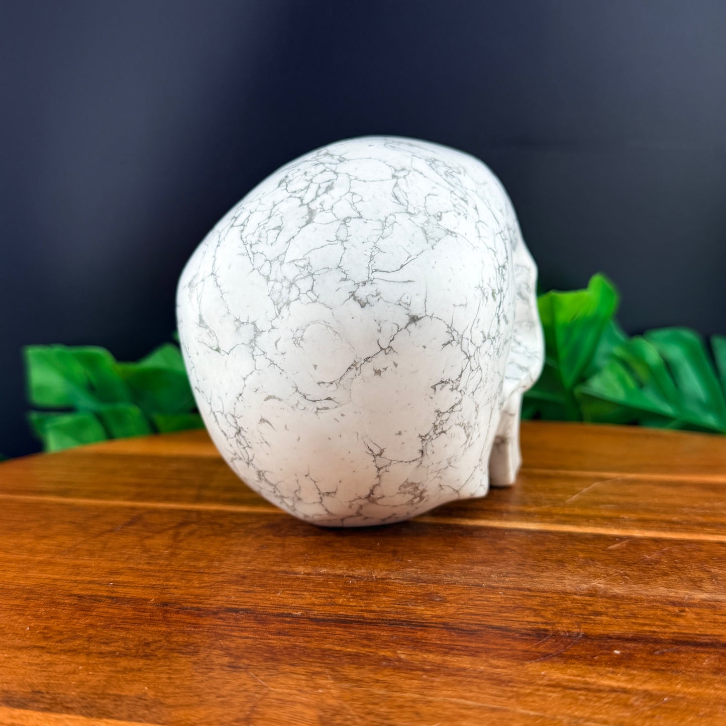 Howlite Skull