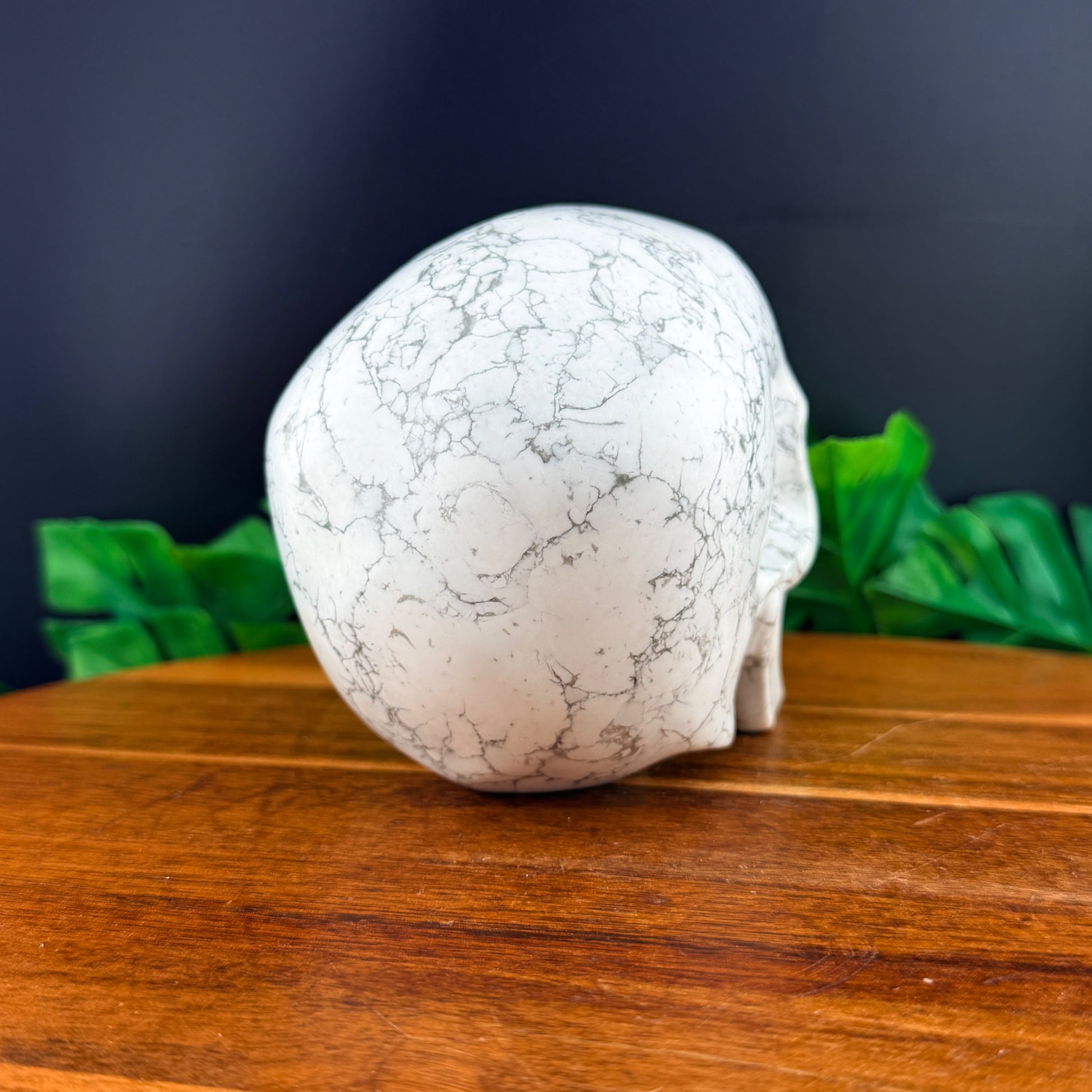 Howlite Skull