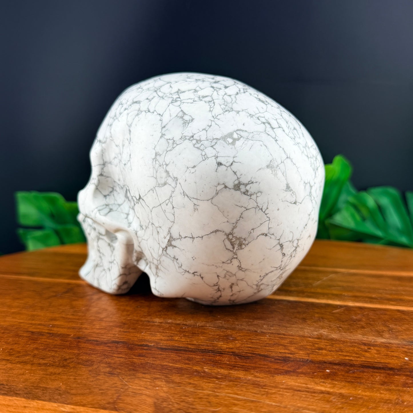 Howlite Skull