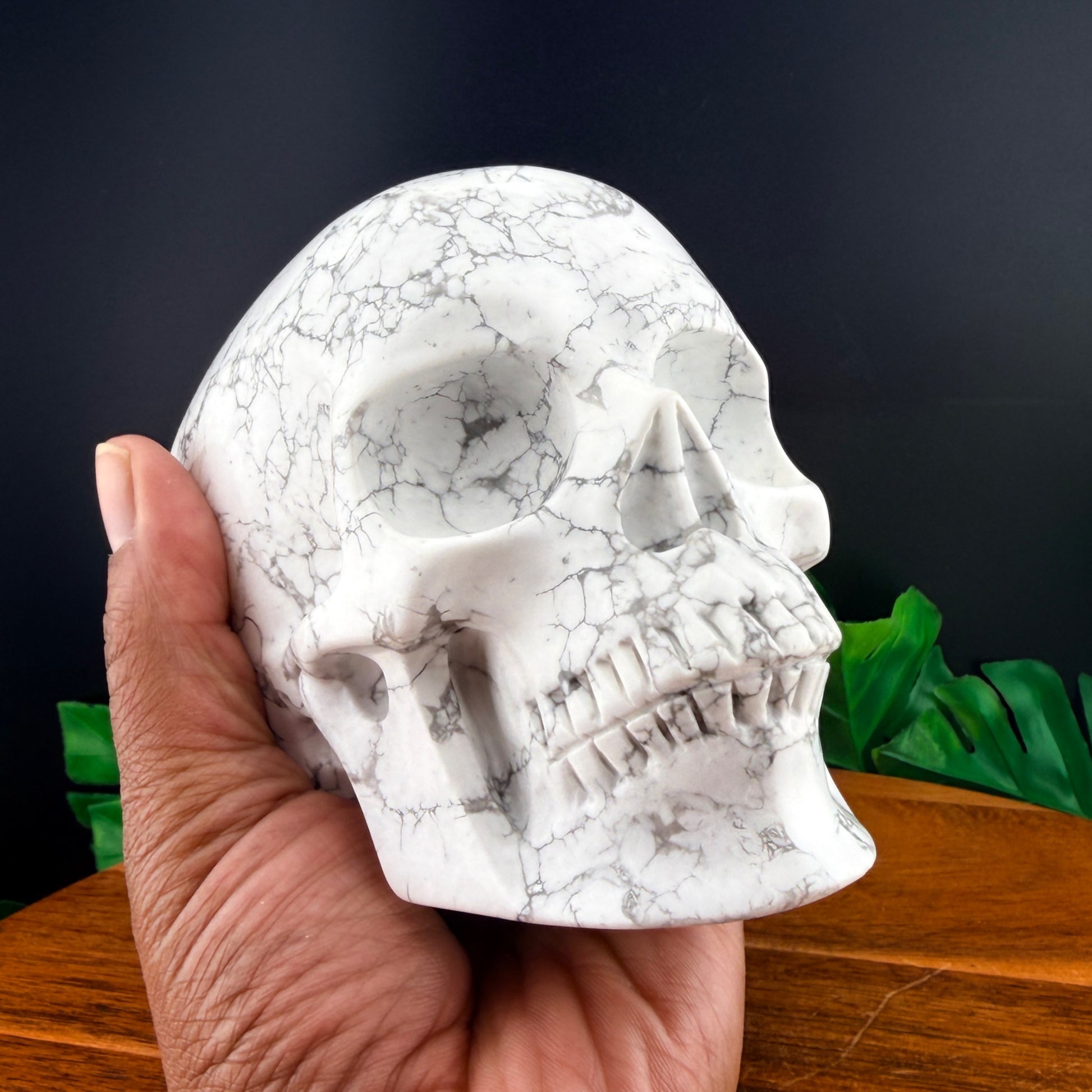 Howlite Skull