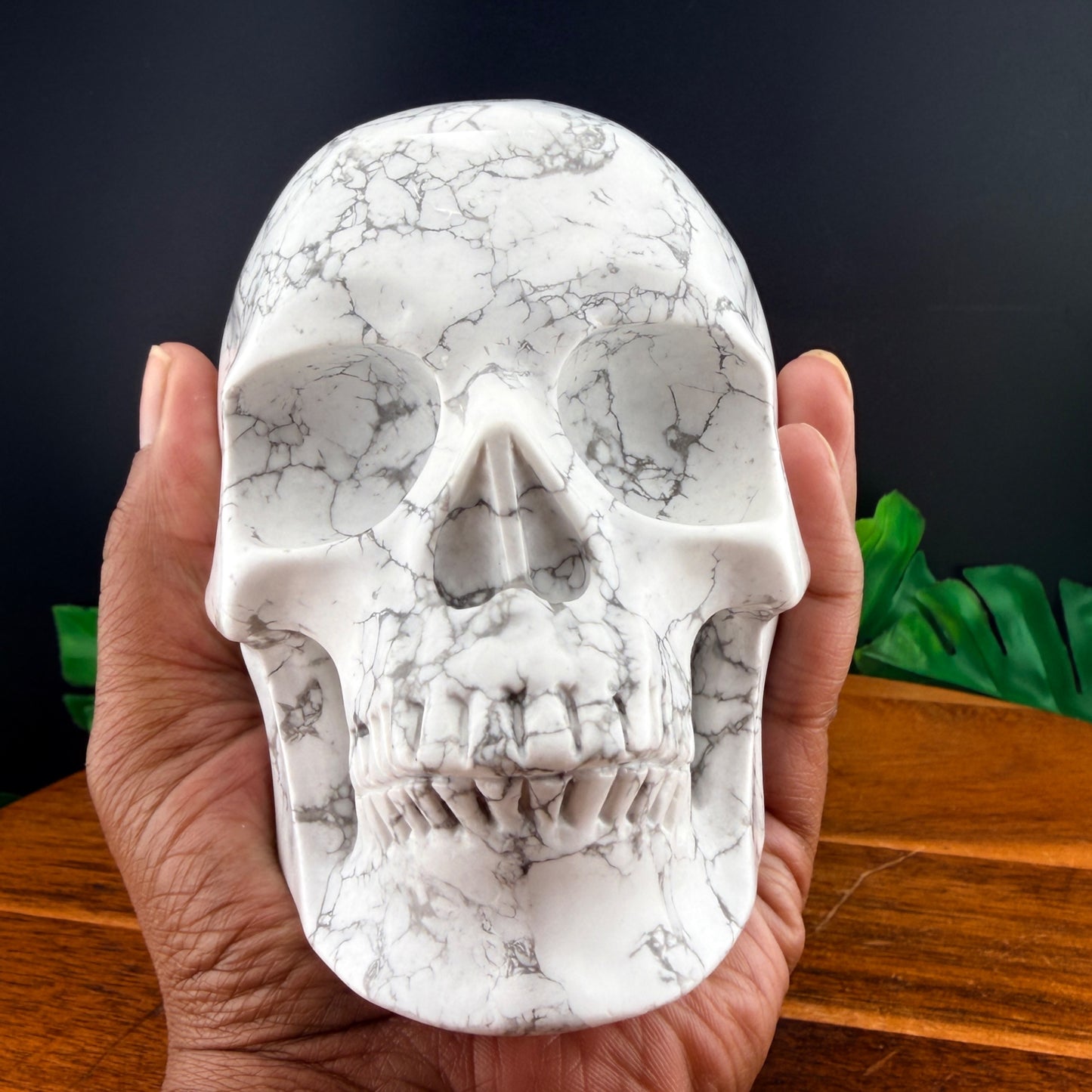 Howlite Skull