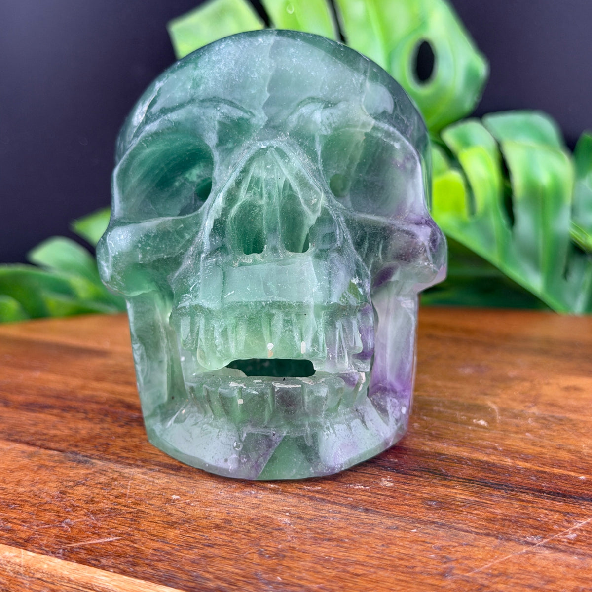 Rainbow Fluorite Hollowed out Vampire Skull