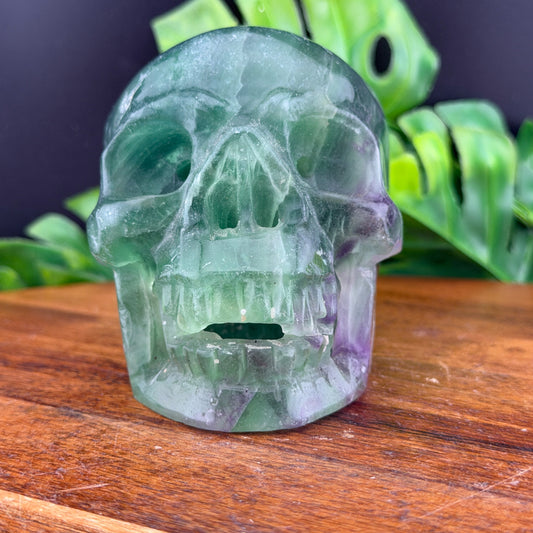 Rainbow Fluorite Hollowed out Vampire Skull