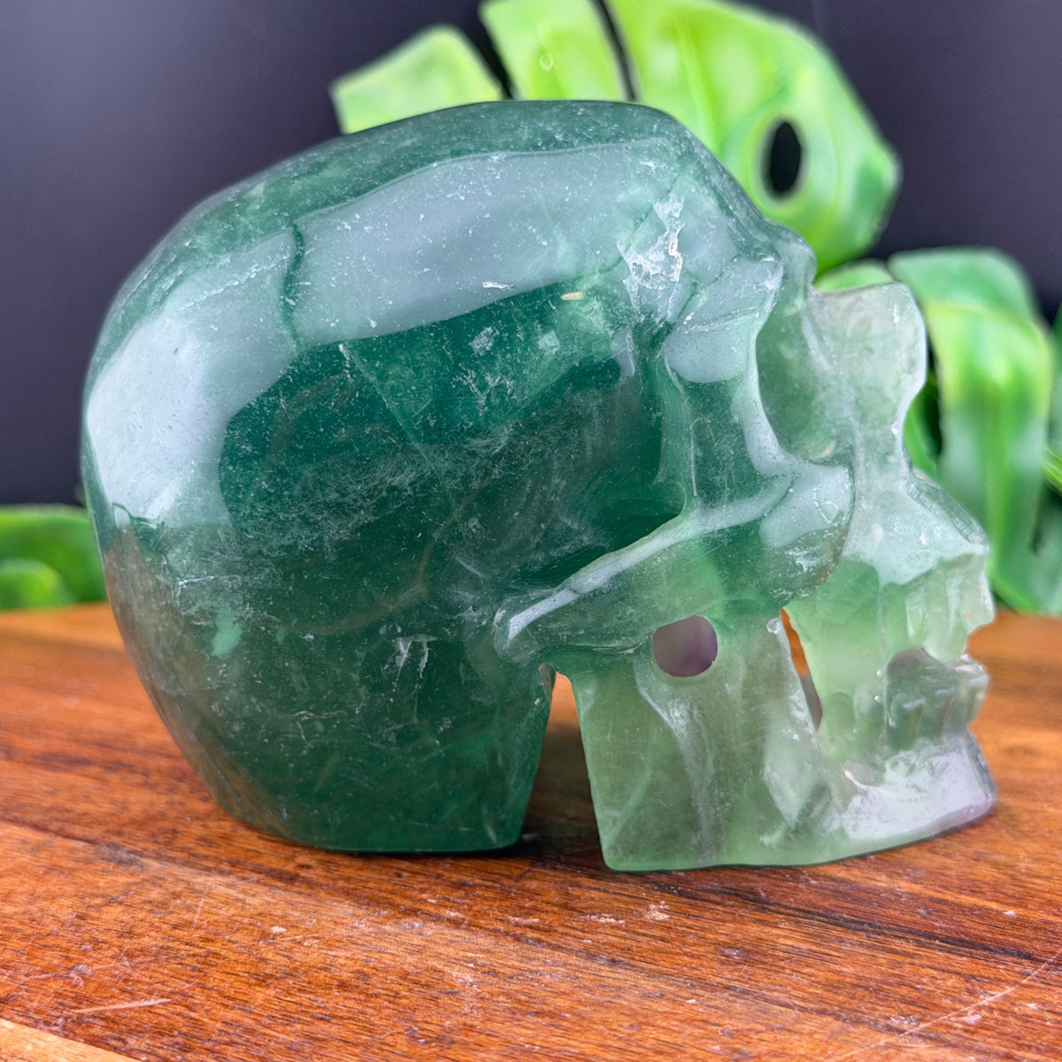 Rainbow Fluorite Hollowed out Vampire Skull