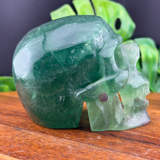 Rainbow Fluorite Hollowed out Vampire Skull