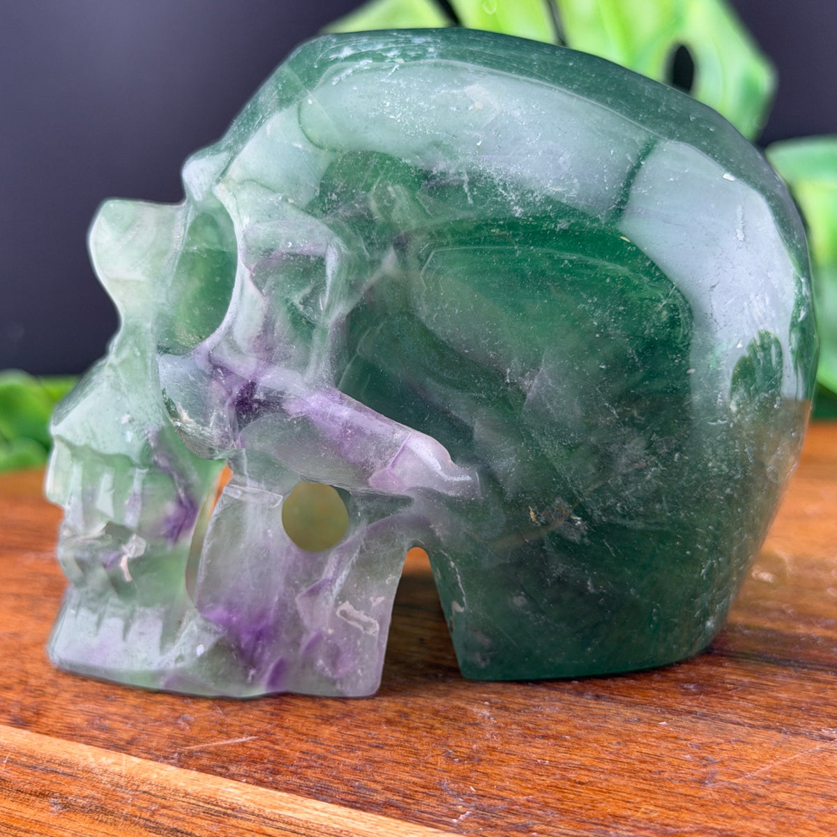 Rainbow Fluorite Hollowed out Vampire Skull
