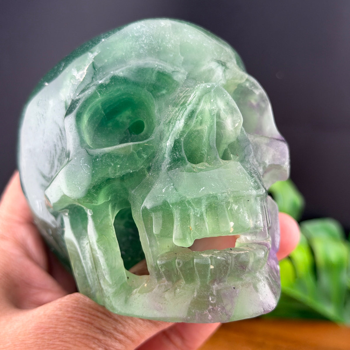 Rainbow Fluorite Hollowed out Vampire Skull