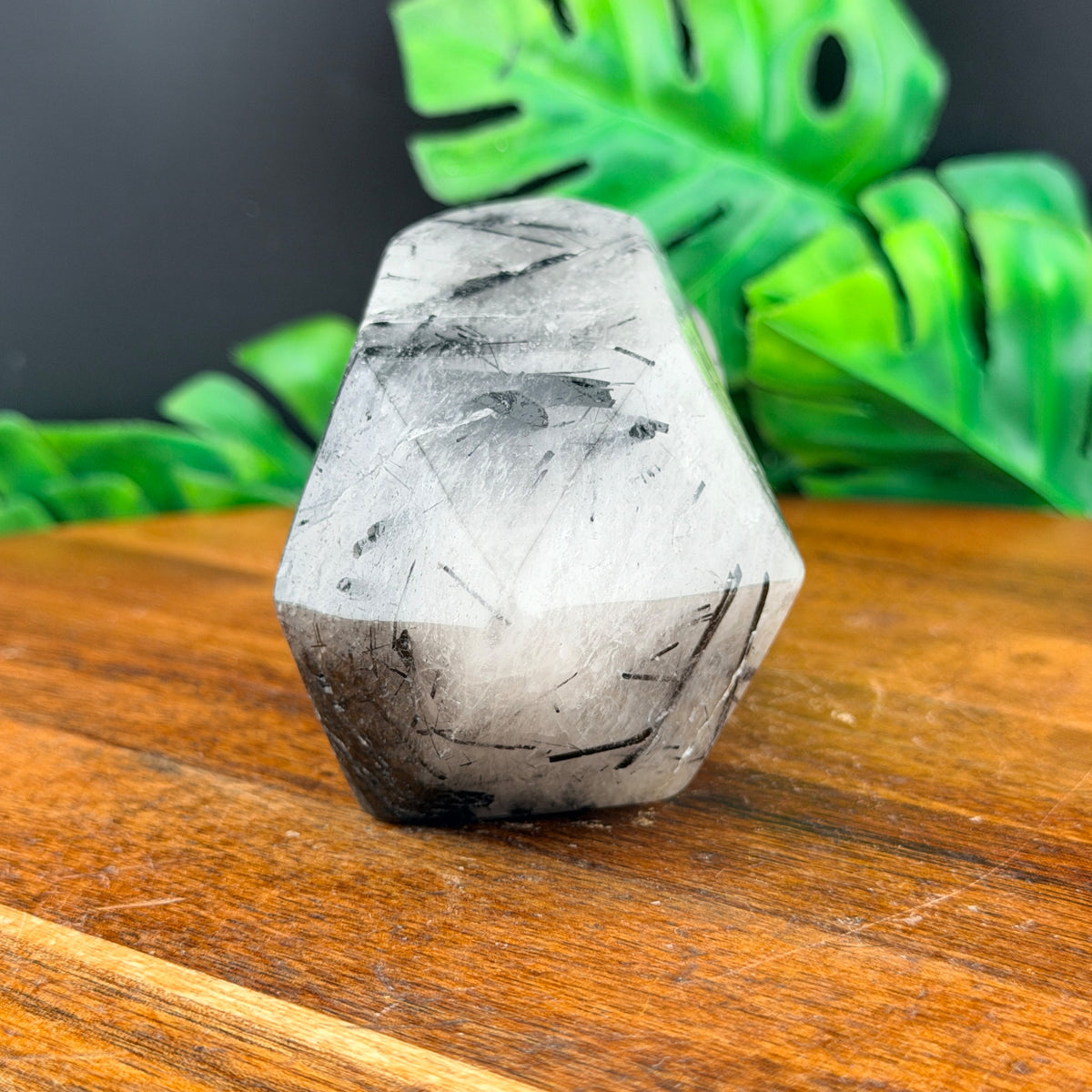 Black Tourmaline Skull Point