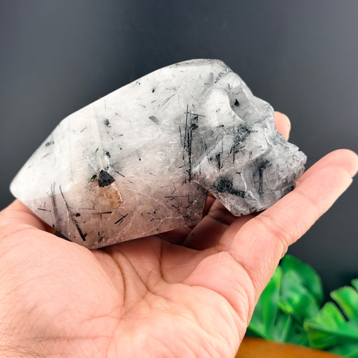 Black Tourmaline Skull Point