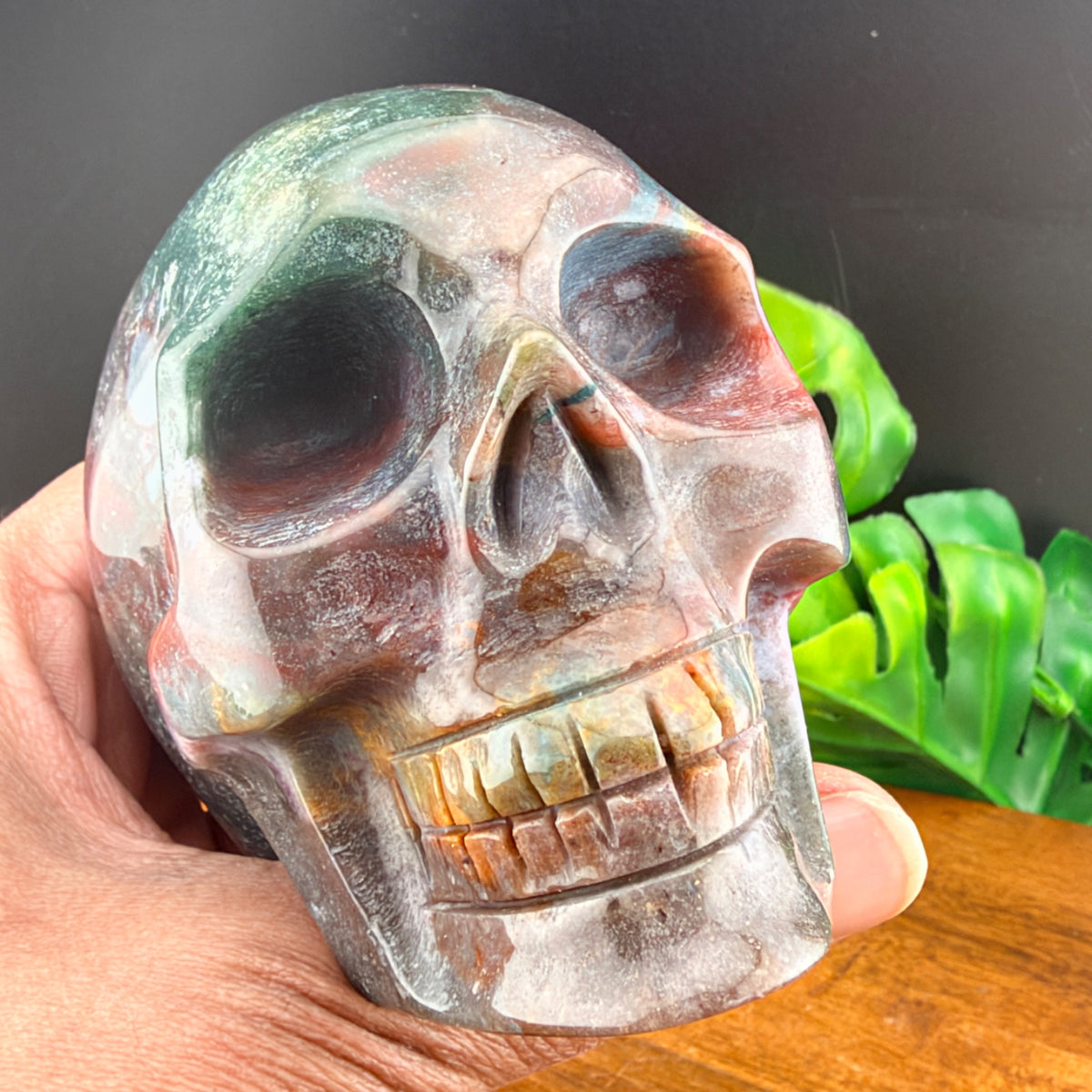 Ocean Jasper Skull