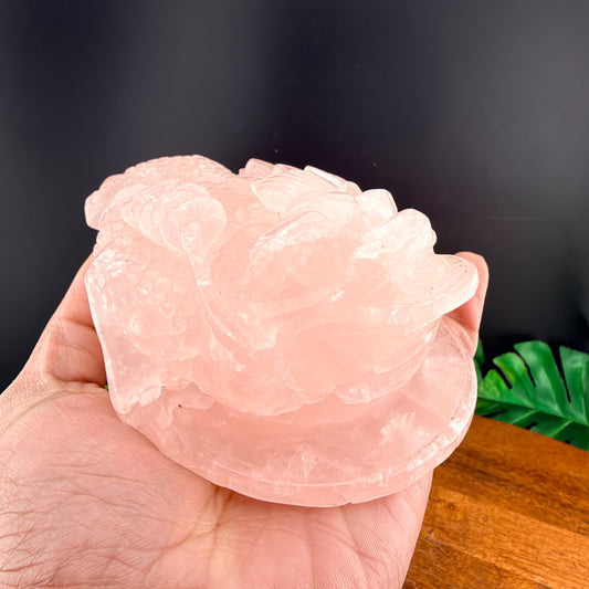 Rose Quartz Money Toad