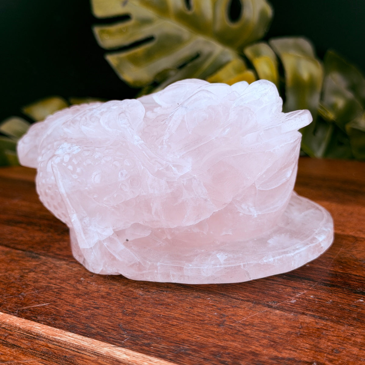Rose Quartz Money Toad