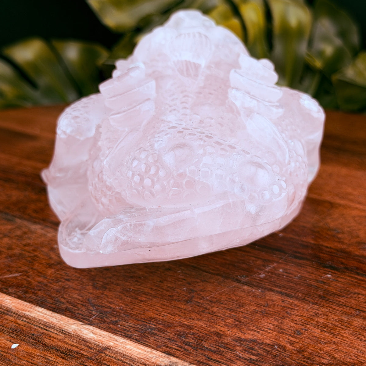 Rose Quartz Money Toad