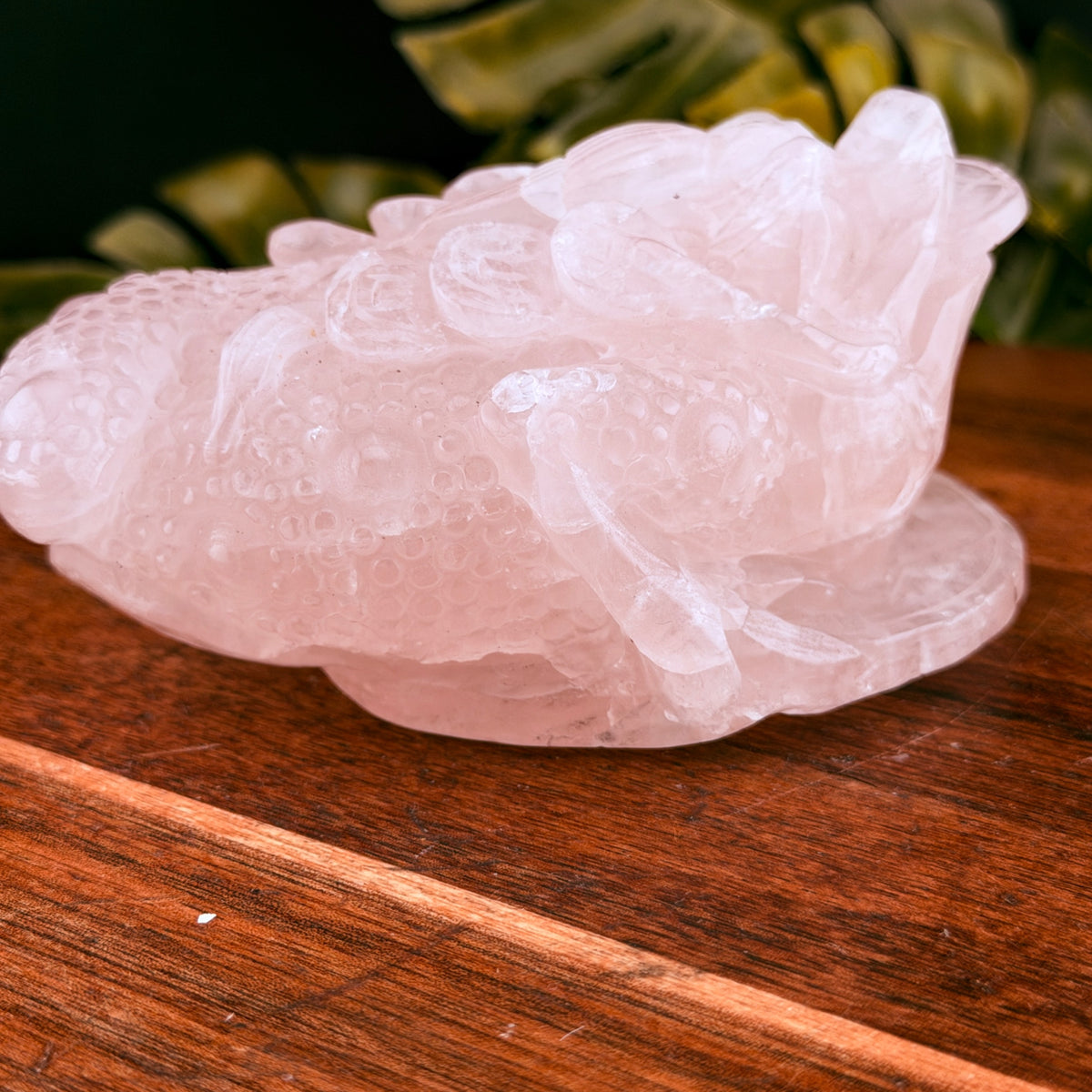 Rose Quartz Money Toad