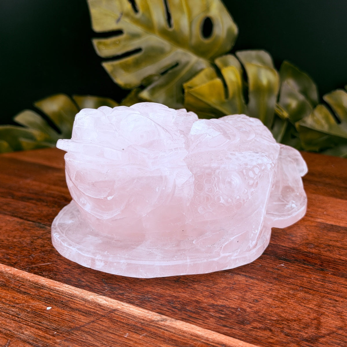 Rose Quartz Money Toad