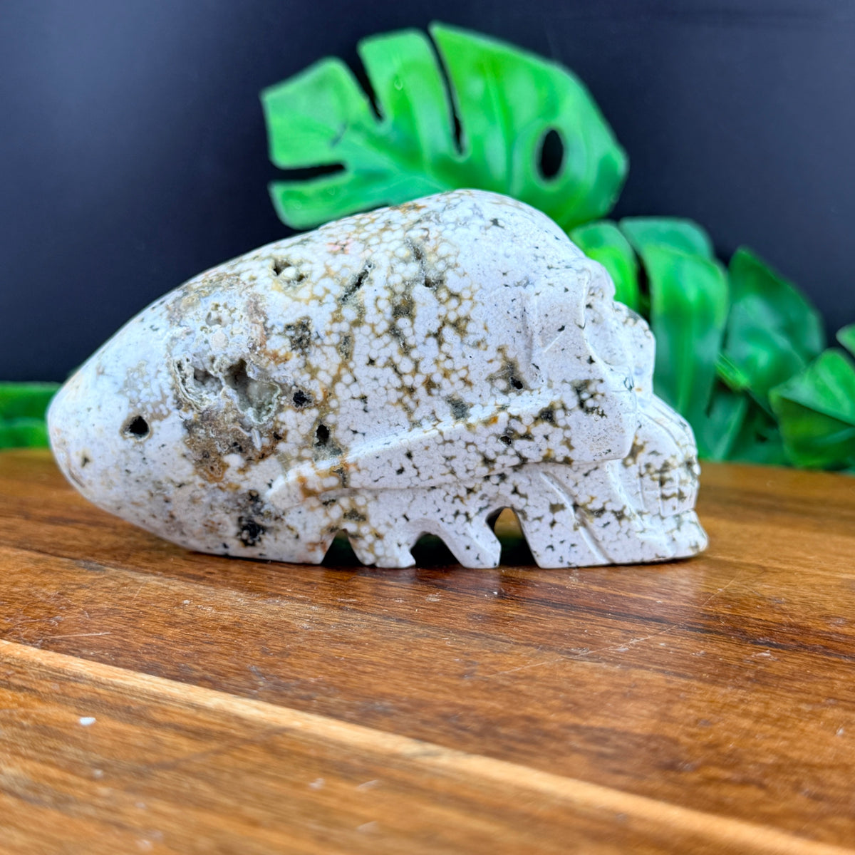 Orbicular Jasper Alien Skull