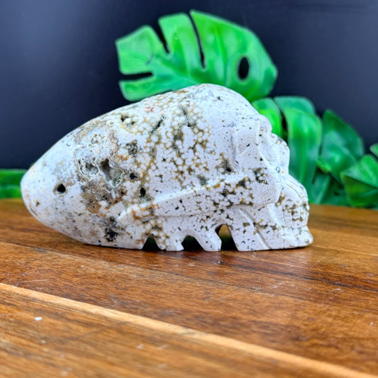 Orbicular Jasper Alien Skull