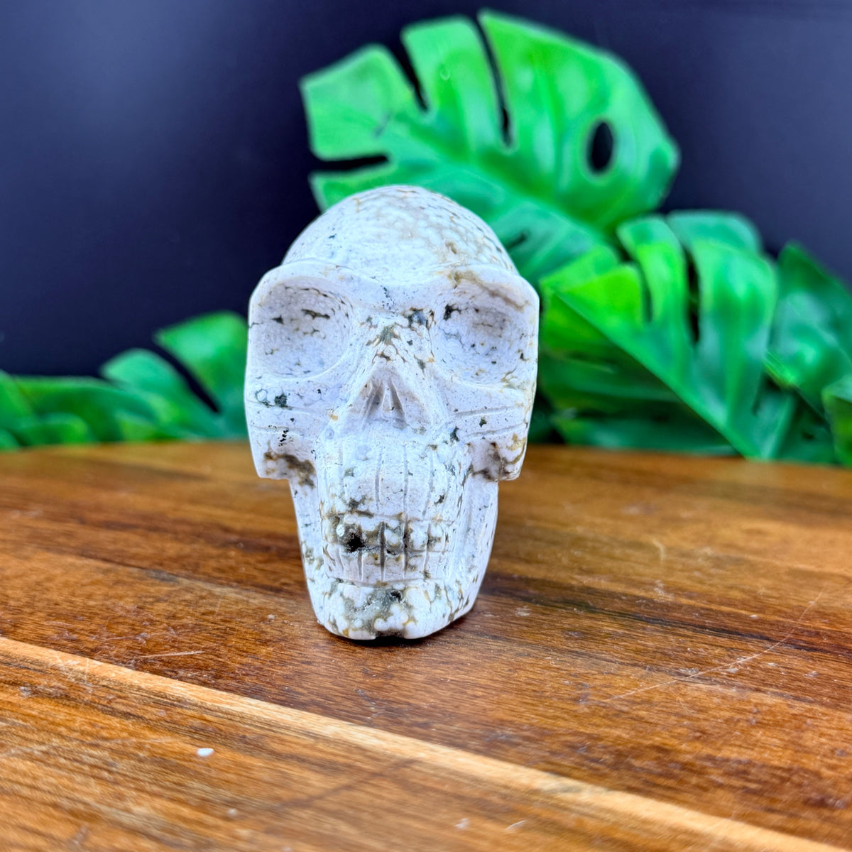 Orbicular Jasper Alien Skull