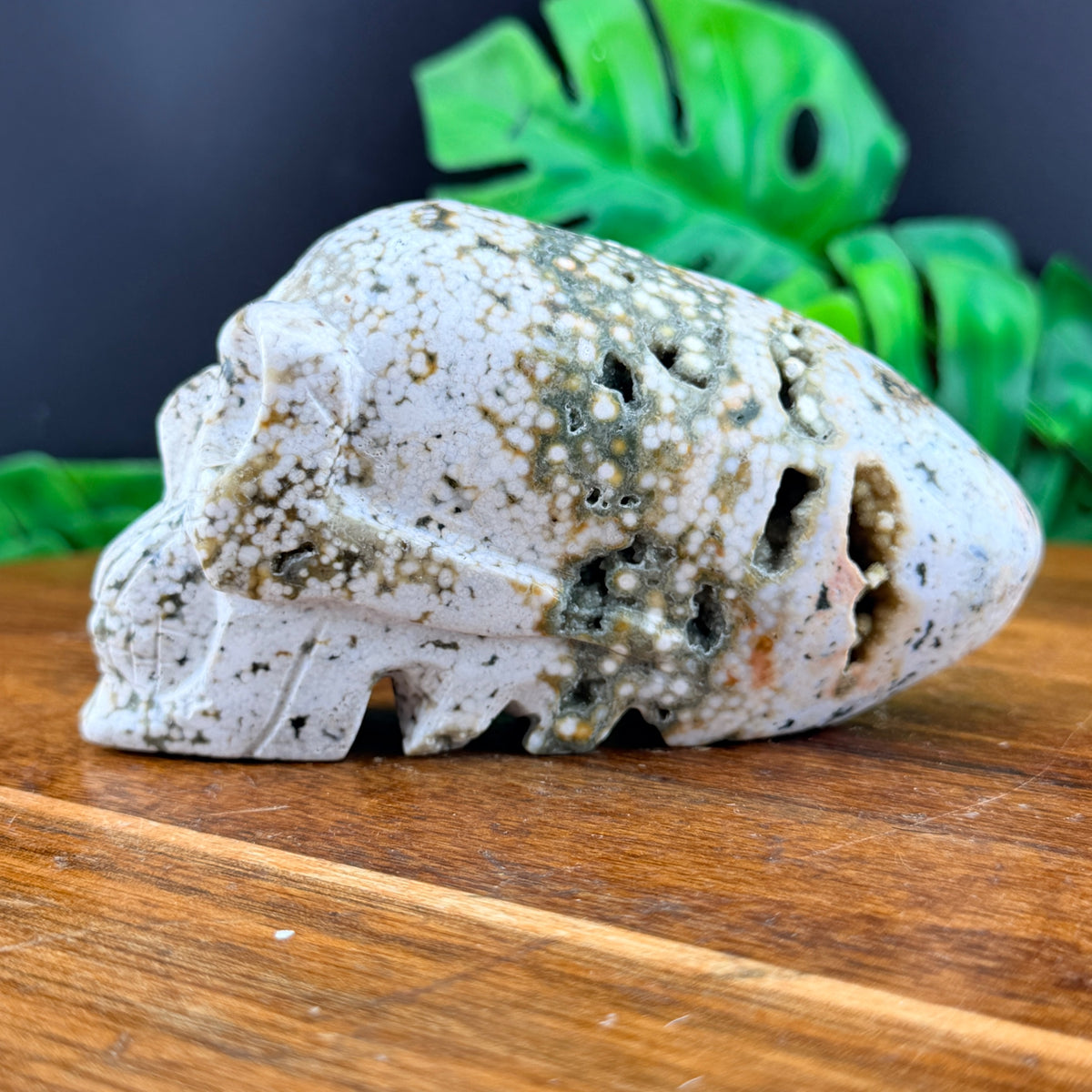 Orbicular Jasper Alien Skull