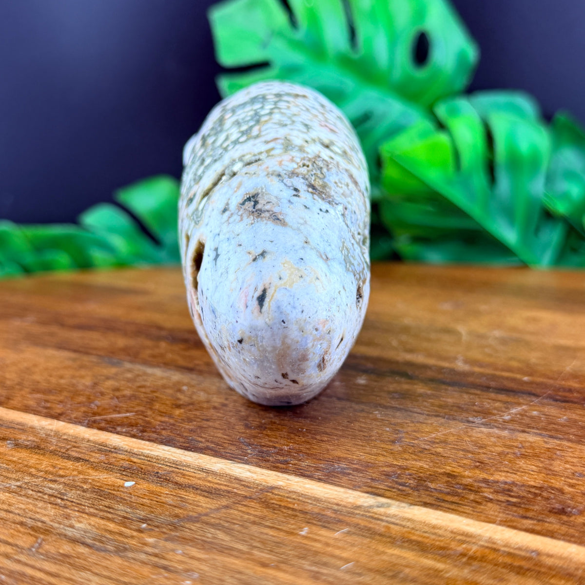 Orbicular Jasper Alien Skull