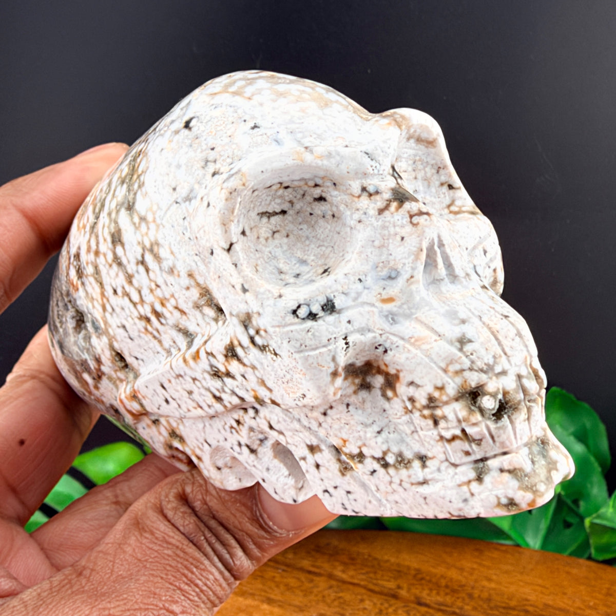 Orbicular Jasper Alien Skull