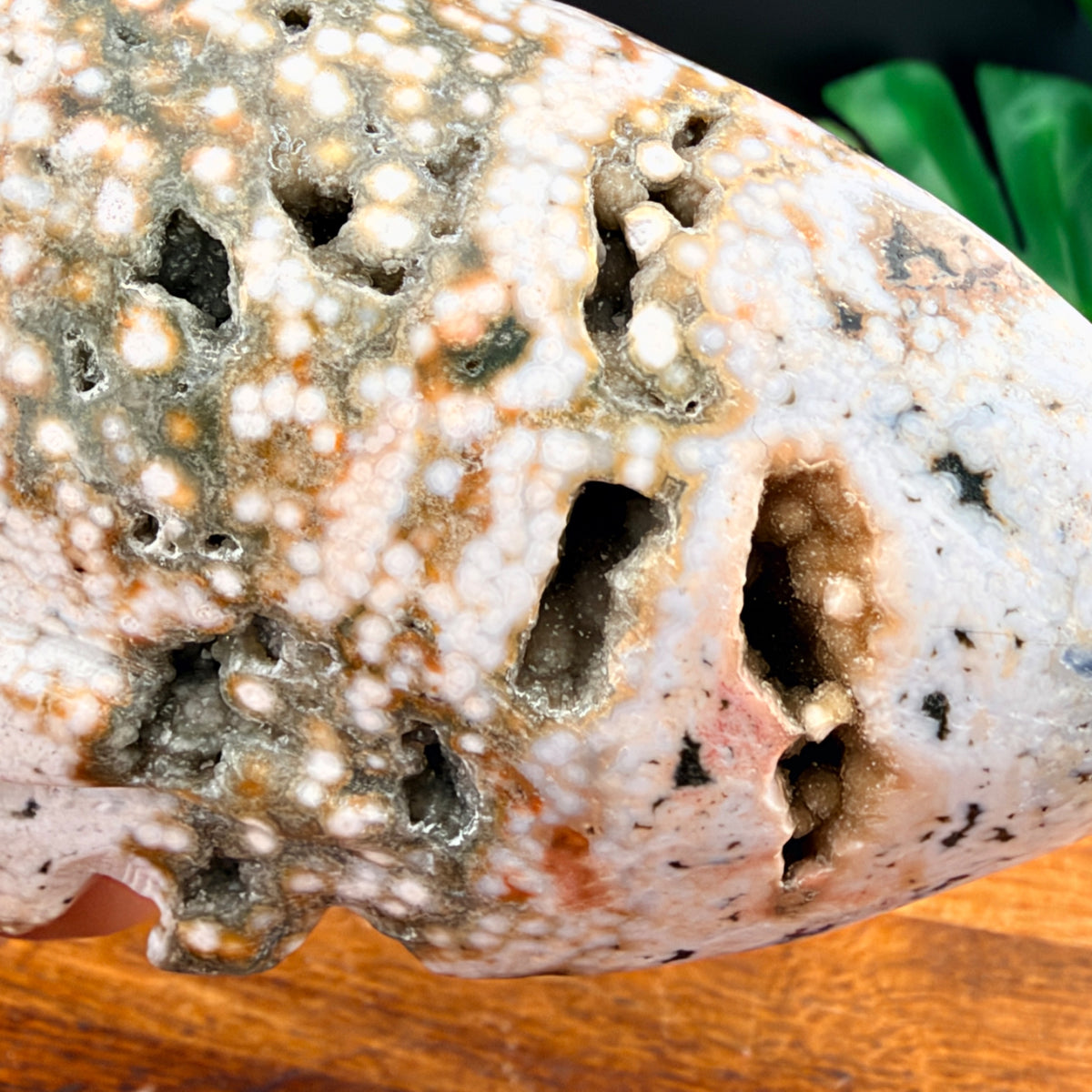 Orbicular Jasper Alien Skull