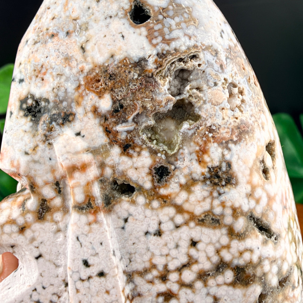 Orbicular Jasper Alien Skull