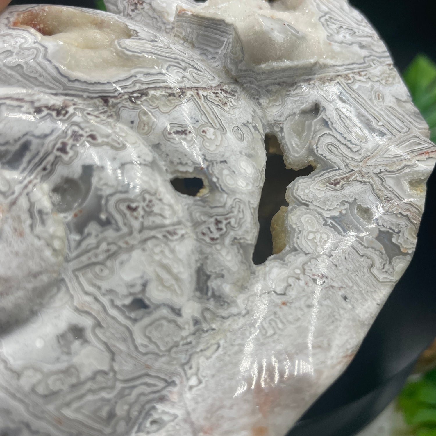 Abstract Mexican Crazy Lace Agate Snail - Sage & Magic