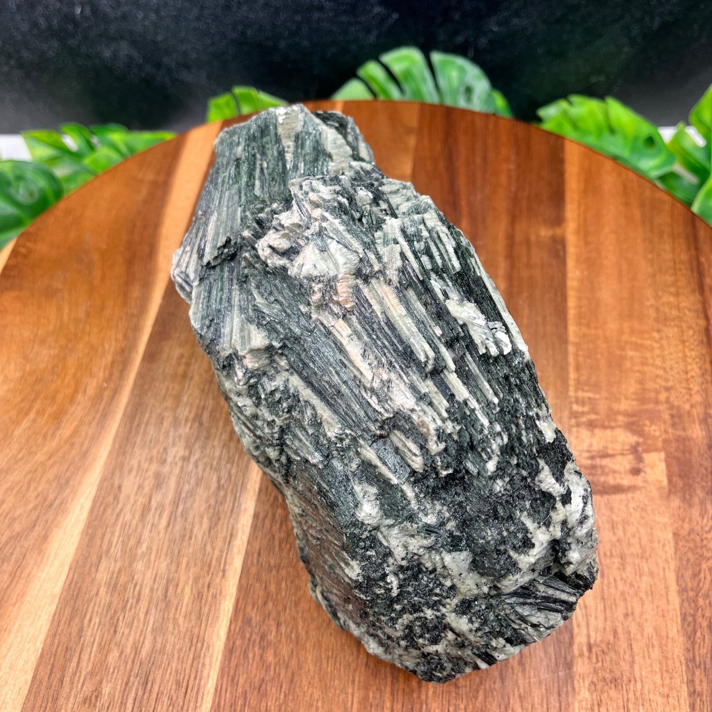 Actinolite Specimen - Sage & Magic
