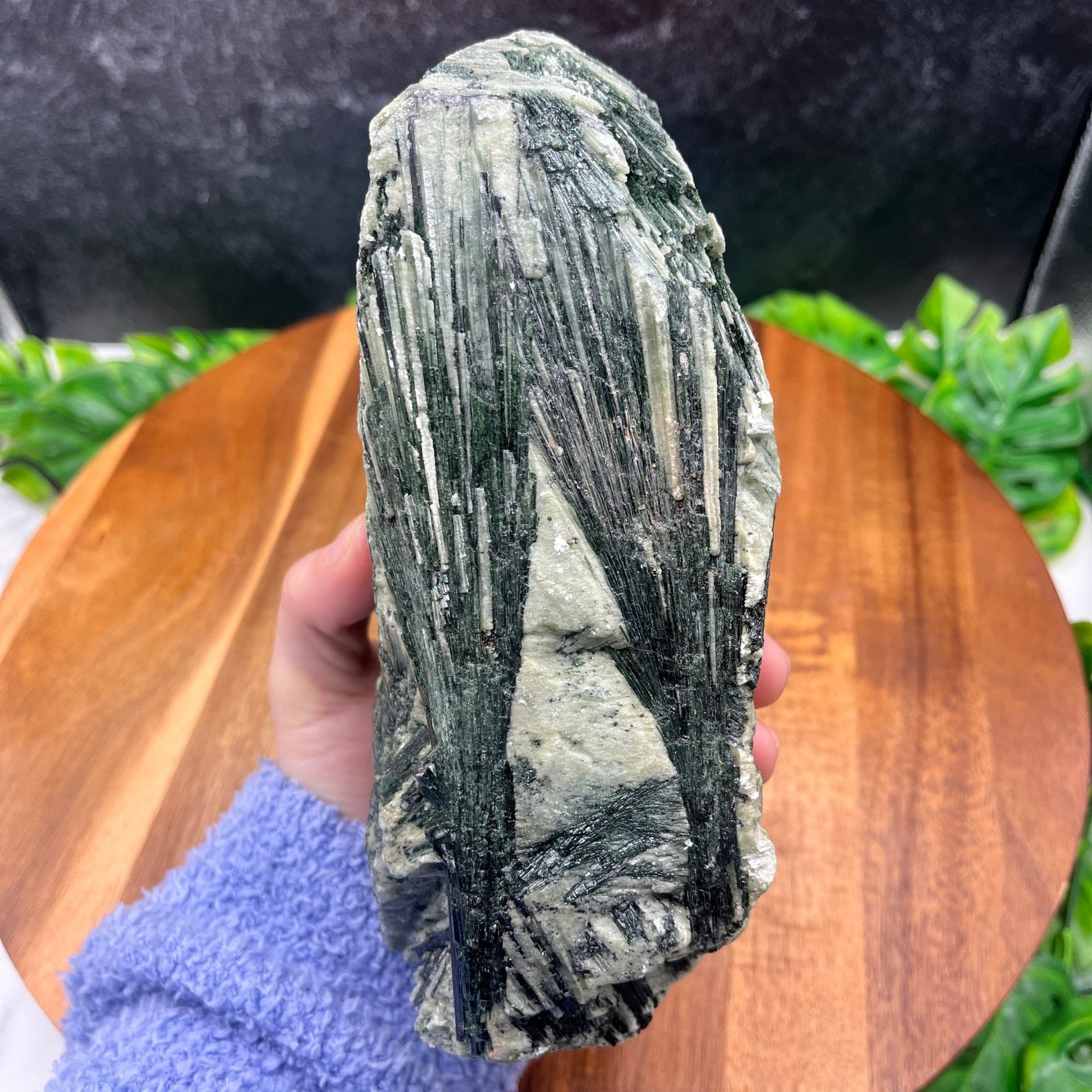Actinolite Specimen - Sage & Magic
