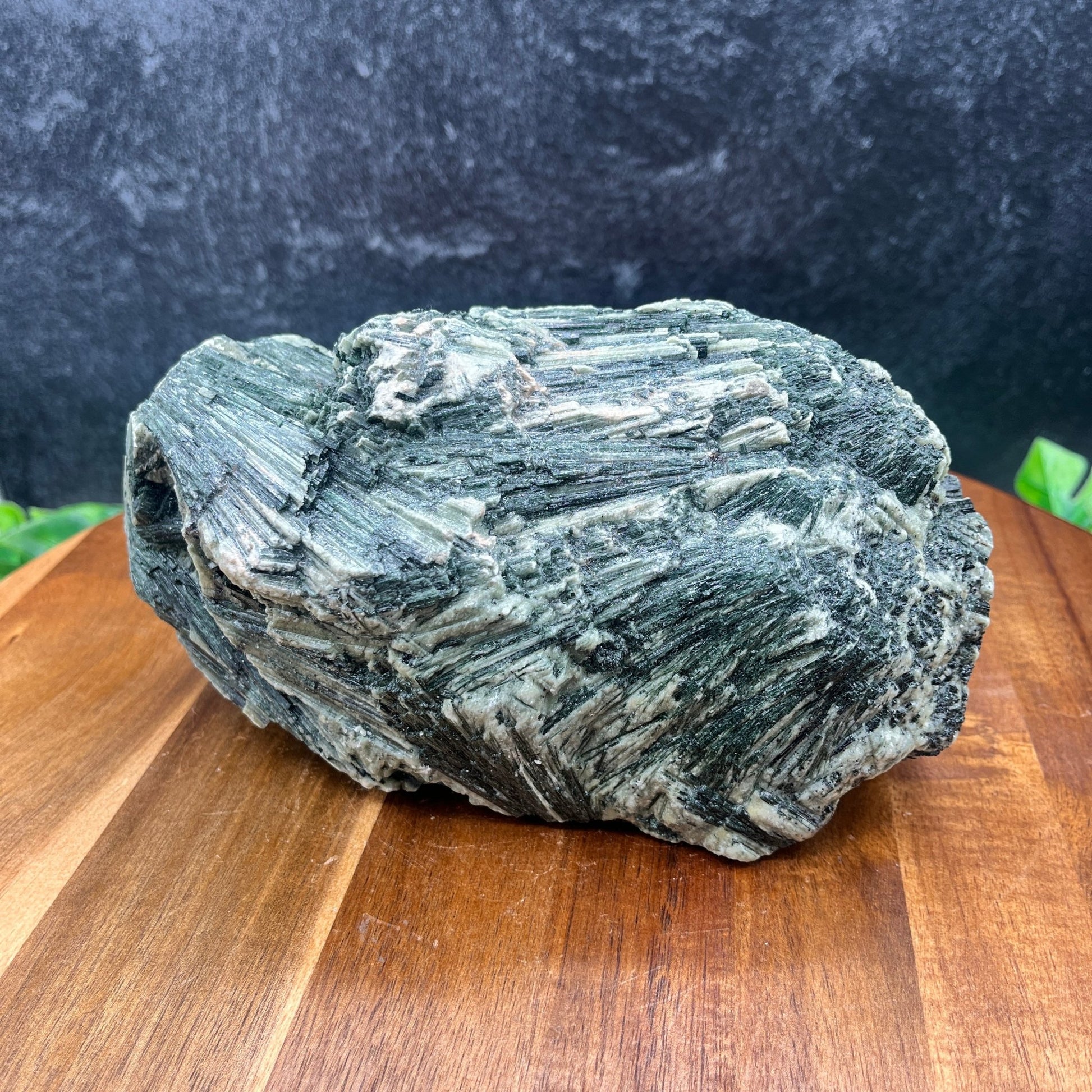 Actinolite Specimen - Sage & Magic