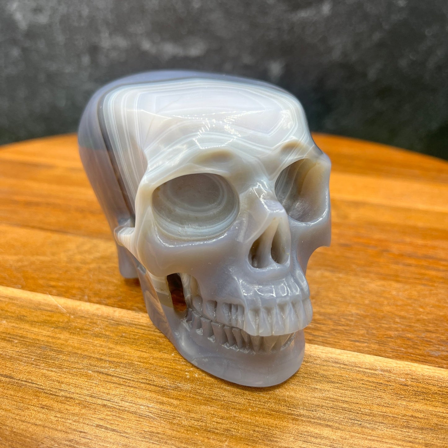 Agate Agate Flat Top Skull - Sage & Magic