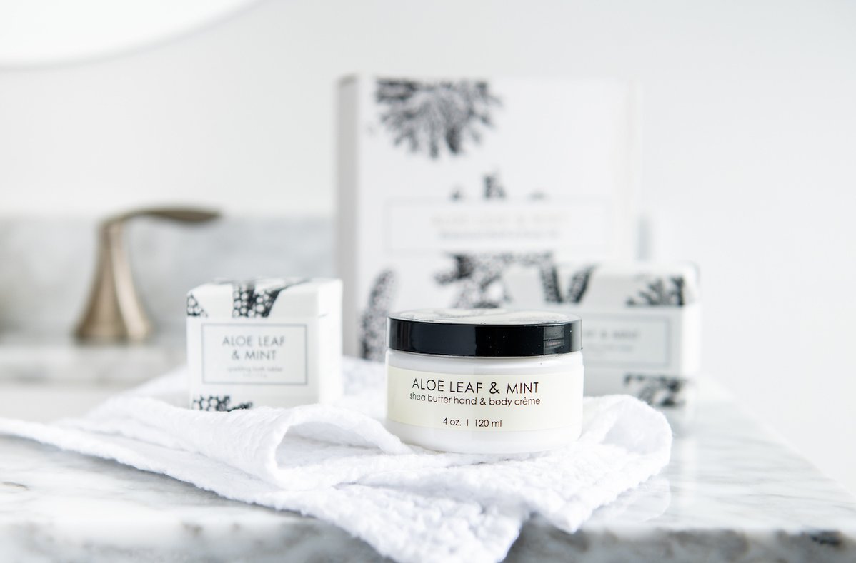 Aloe Leaf & Mint Botanical Set - Sage & Magic