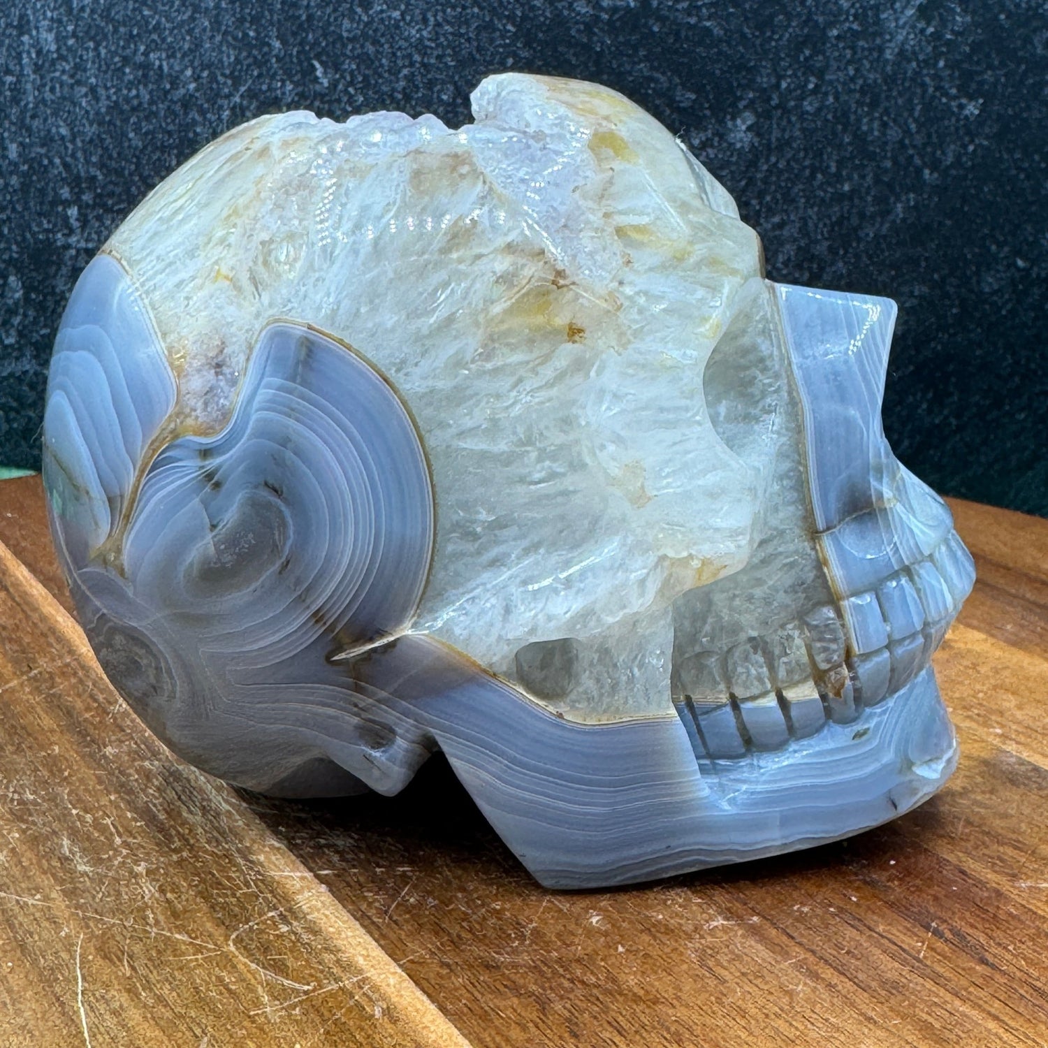 Amethyst in Banded Agate Skull - Sage & Magic