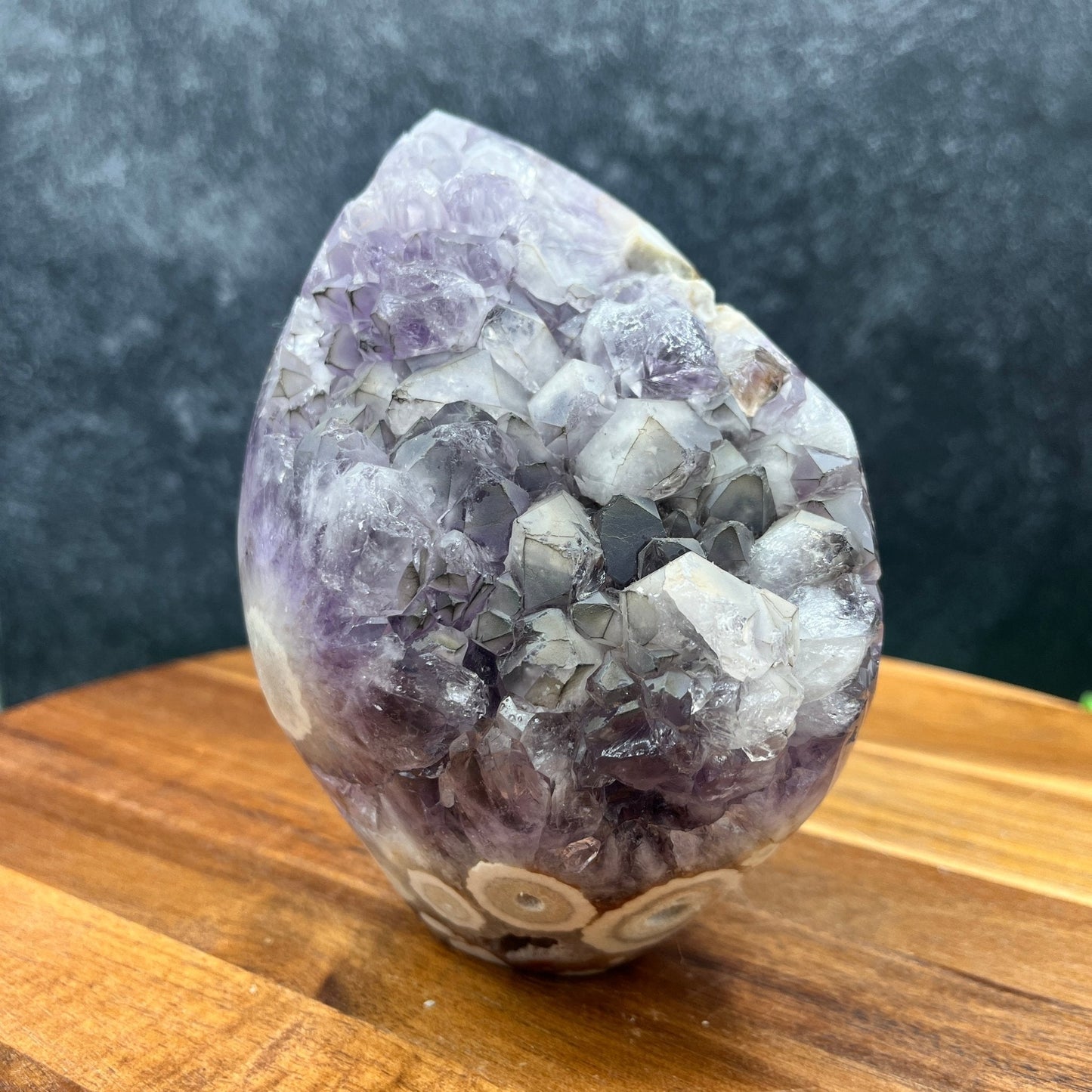 Amethyst in Flower Agate Cluster - Sage & Magic