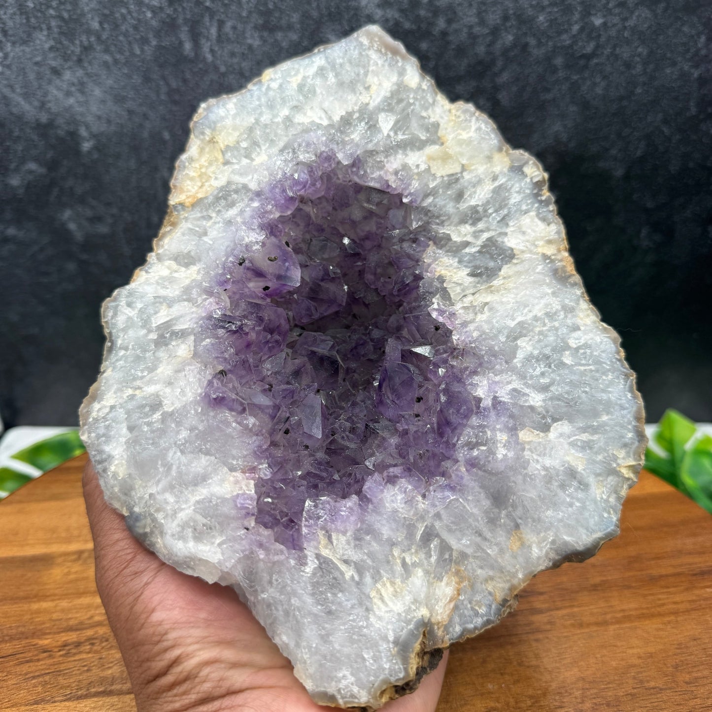 Amethyst in Quartz Geode - Sage & Magic