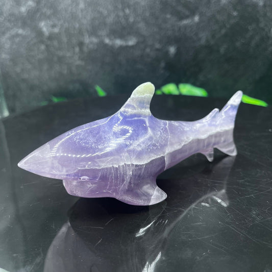 Amethyst Shark - Sage & Magic