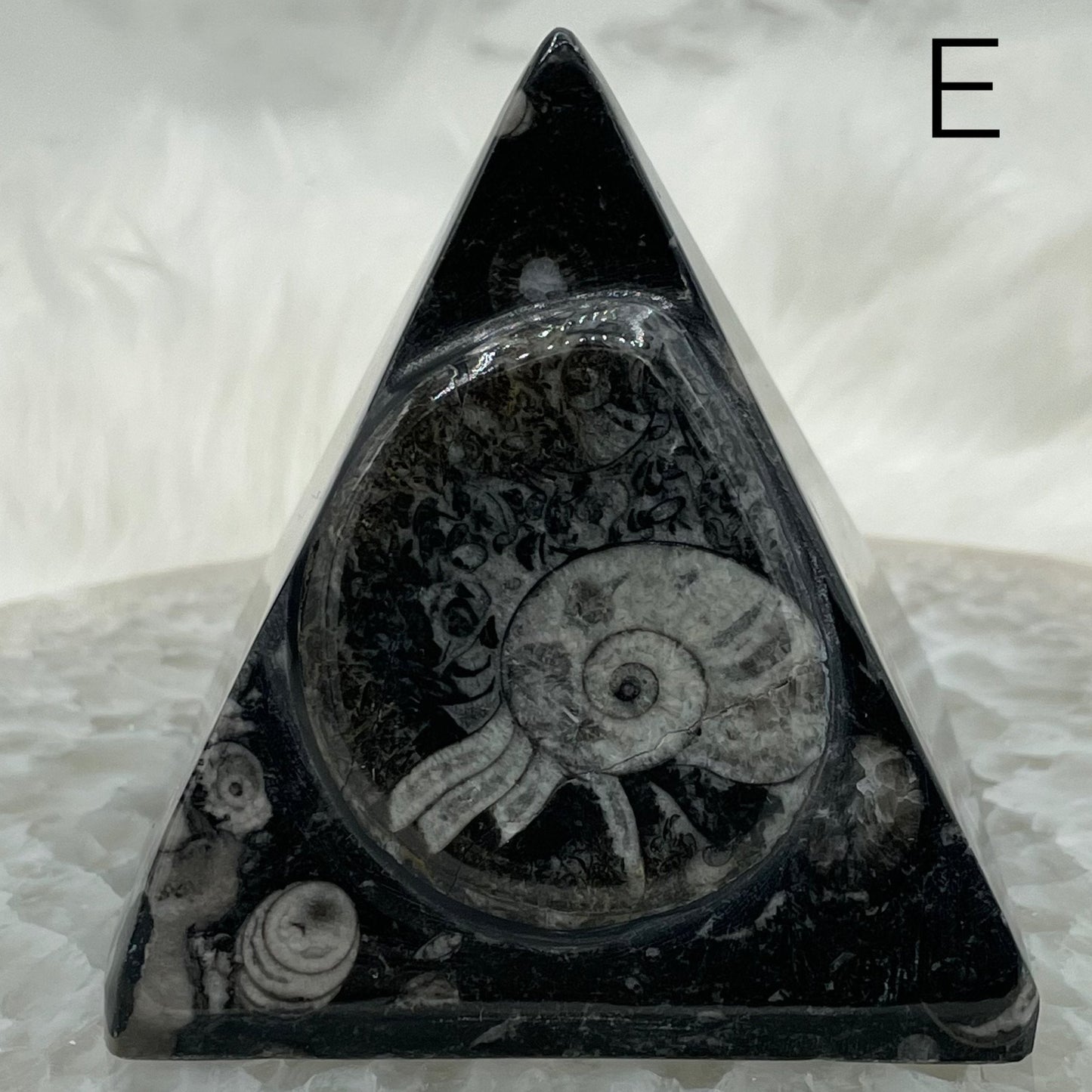 Ammonite Pyramids - Sage & Magic