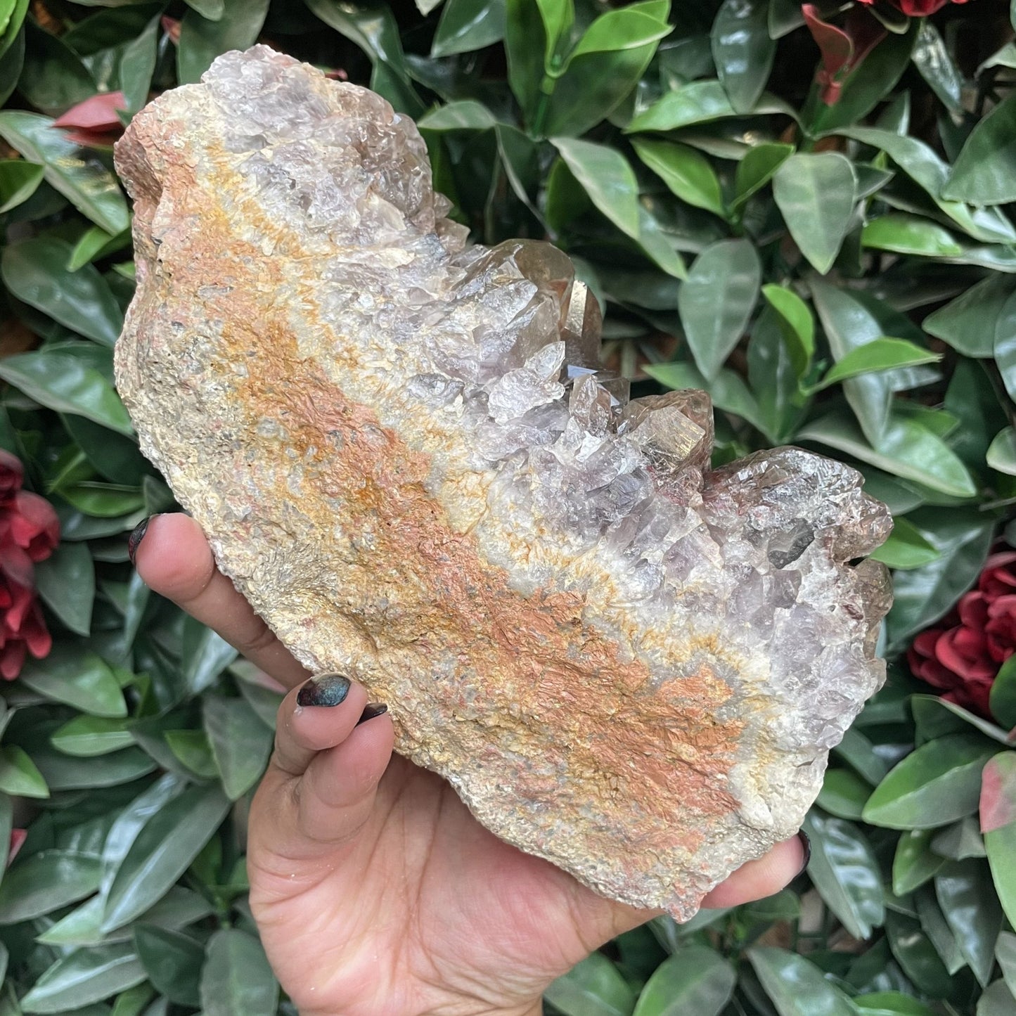 Asylum Quartz Cluster with Iron Needle Inclusions - Sage & Magic