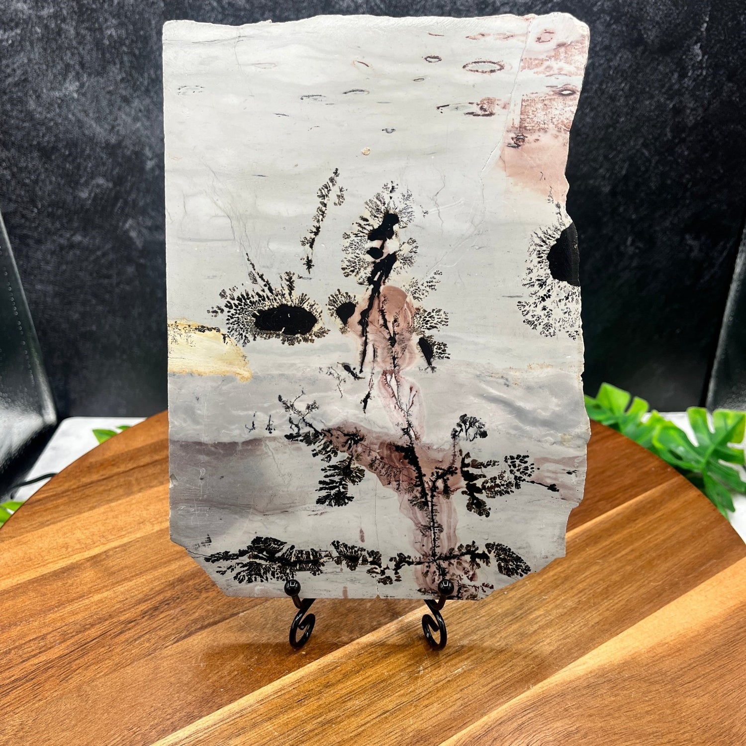 Australian Picture Jasper Slab - Sage & Magic