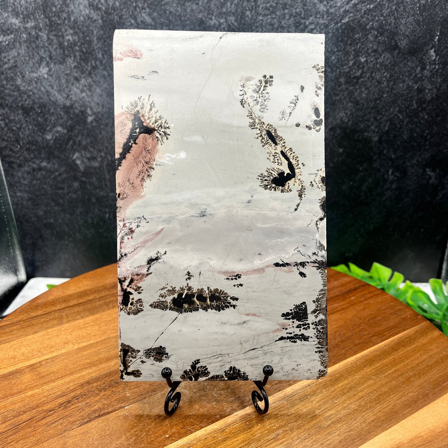 Australian Picture Jasper Slab - Sage & Magic