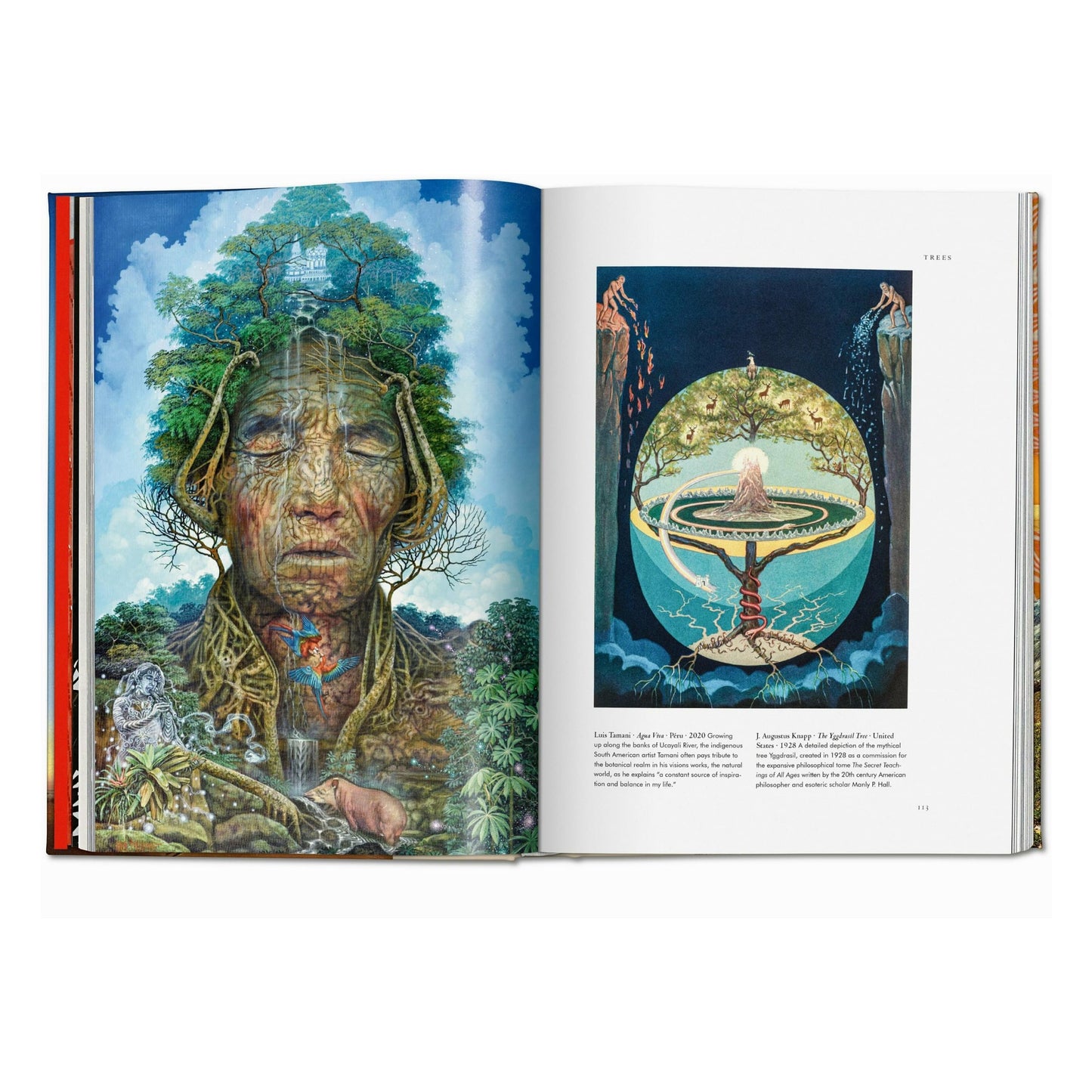 Plant Magick. The Library of Esoterica (English)