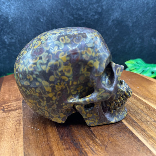 Bamboo Jasper Skull - Sage & Magic